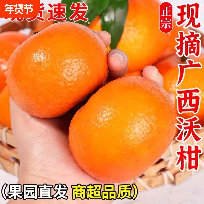 广西沃柑新鲜水果包邮橘子当季沙糖蜜橘桔子现摘现发甜蜜鲜果果园