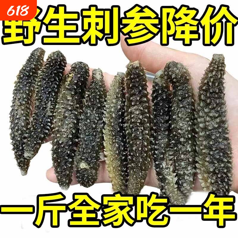 野生海参干货孕妇级干散装批发正宗黑刺参特价海参一斤水产年货节