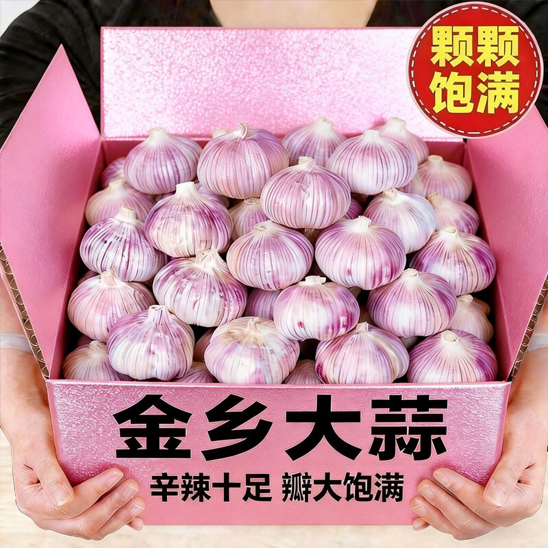 新客山东精品紫皮干蒜大蒜头批发特大糖蒜农家整箱当季自提包赔