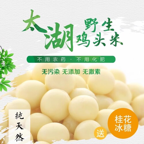 新货2025苏州鸡头米新鲜大颗粒