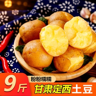 2025年甘肃沙面土豆新鲜黄皮黄心洋芋定西5斤9斤 马铃薯辅食 包邮
