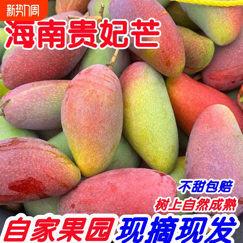 海南贵妃芒水果芒果新鲜热带芒果8分树上熟特大彩虹芒现摘