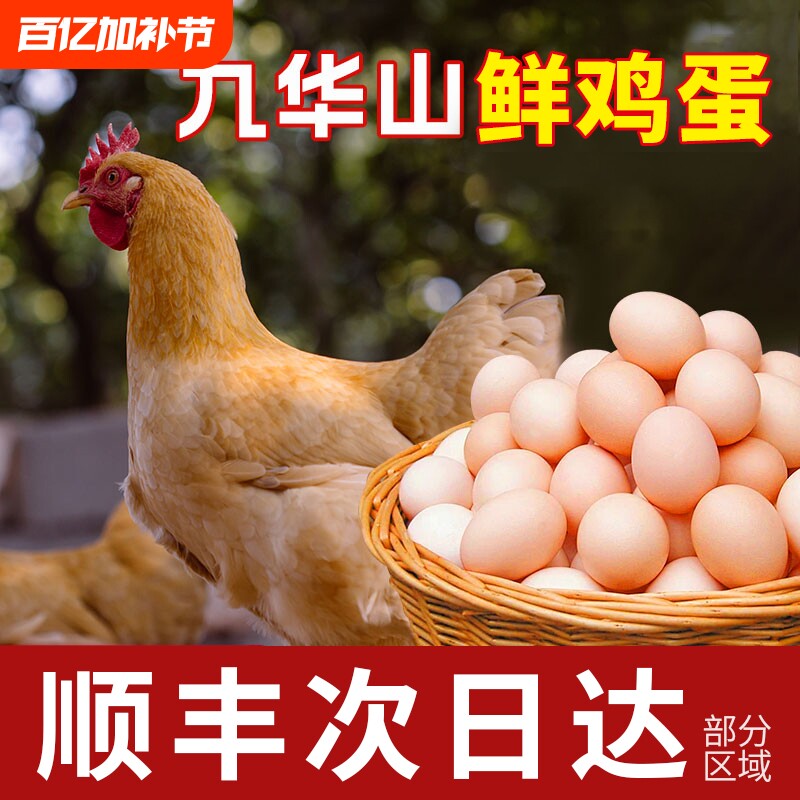 顺丰包邮正宗九华山鸡蛋100枚整箱批发农家新鲜鸡蛋次日配送