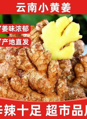 云南大理现挖春姜小黄姜