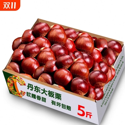 正宗新鲜生现摘丹东板栗5斤