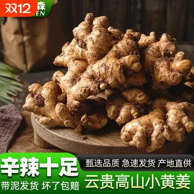 现挖老姜生姜批发应季新鲜蔬菜姜云南特级小黄姜辛辣调味料月子姜