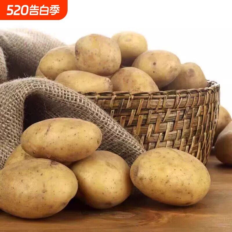 今年当季新土豆蔬菜新鲜黄皮黄心土豆挖农家自种土豆马铃薯洋芋