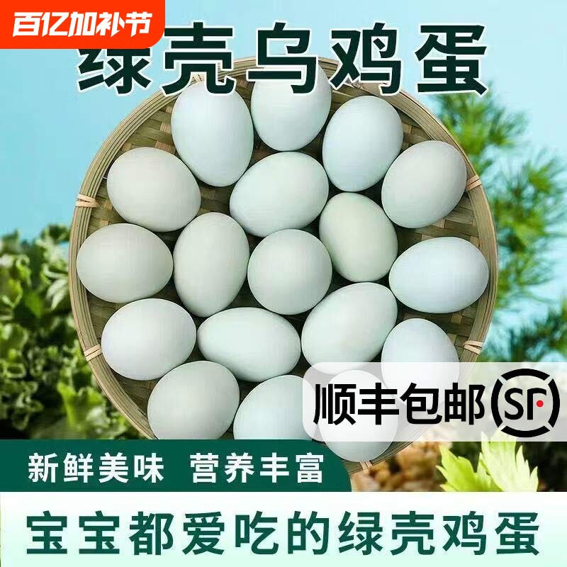 顺丰包邮正宗原生态农家散养绿壳乌鸡蛋笨鸡蛋新鲜初生蛋约35-45