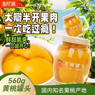 芝麻官黄桃罐头水果罐新鲜糖水黄桃橘子整箱560g 果园 3罐实用罐装