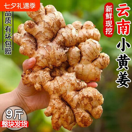 老姜云南小黄姜5斤9斤新鲜生姜