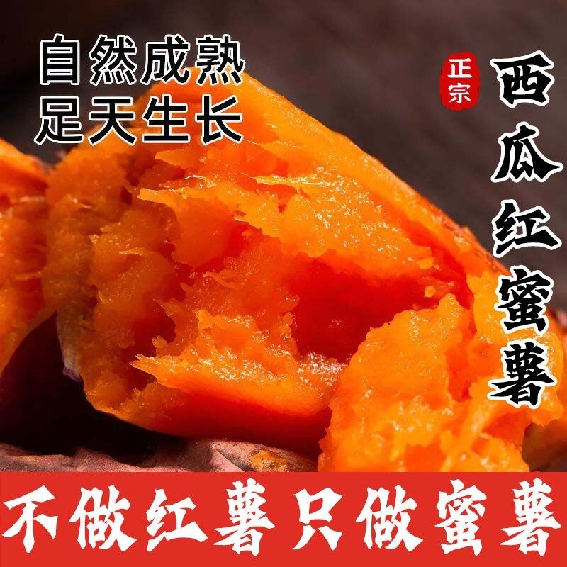 正宗西瓜红红薯蜜薯糖心新鲜番薯板栗沙地蒸烤地瓜山芋农家自种