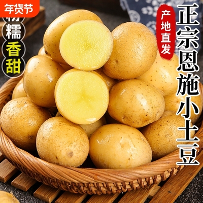 新鲜黄皮黄心土豆新鲜现挖