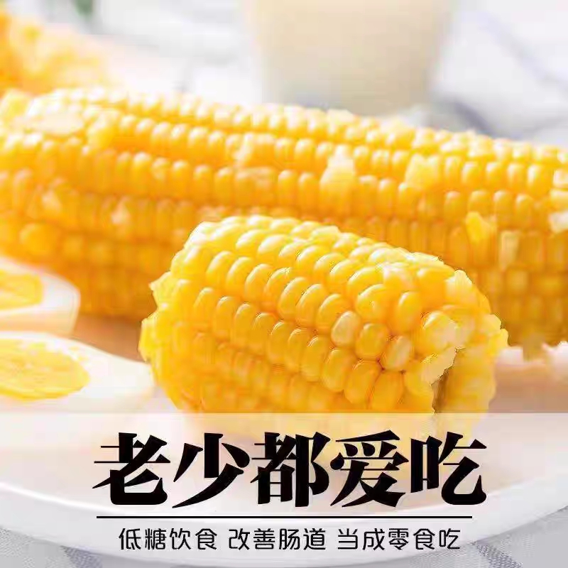 吉林特产黄甜糯玉米新鲜甜糯玉米黏甜粘苞米真空装鲜食玉米