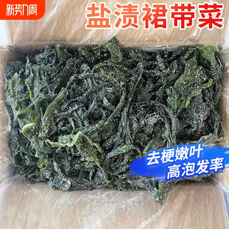 大连特产盐渍裙带菜半干货5斤海带嫩苗丝海白菜非特级脂肪0旗舰店