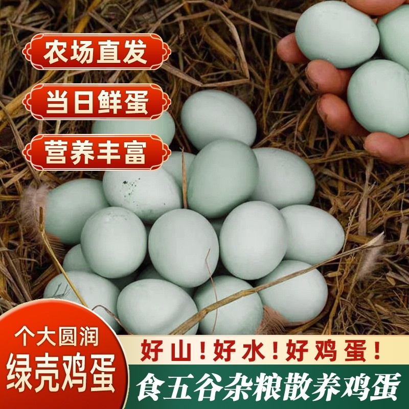 绿壳土鸡蛋散养鸡蛋50枚大别山林下土鸡农场虫草谷物新鲜鸡蛋现发