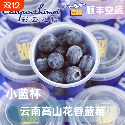 当季云南高山花香蓝莓鲜果小蓝杯脆甜新鲜现采现摘装顺丰空运水果