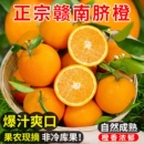 包邮 正宗赣南脐橙新鲜橙子当季 水果手剥果冻橙子冰糖甜橙大果整箱