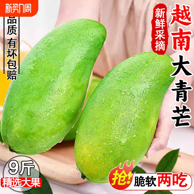 【生熟两吃】越南大青芒应季新鲜芒果超甜水果青皮甜心芒产地直发