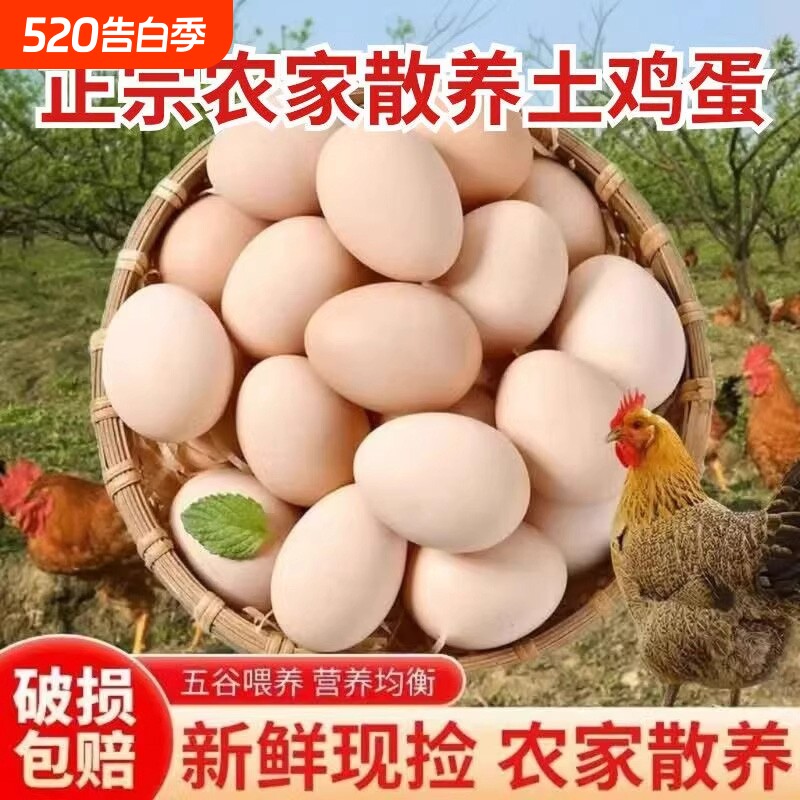 农家鲜鸡蛋50g谷物慢养鸡蛋五谷鲜鸡蛋草鸡蛋笨鸡蛋农家笨鸡蛋
