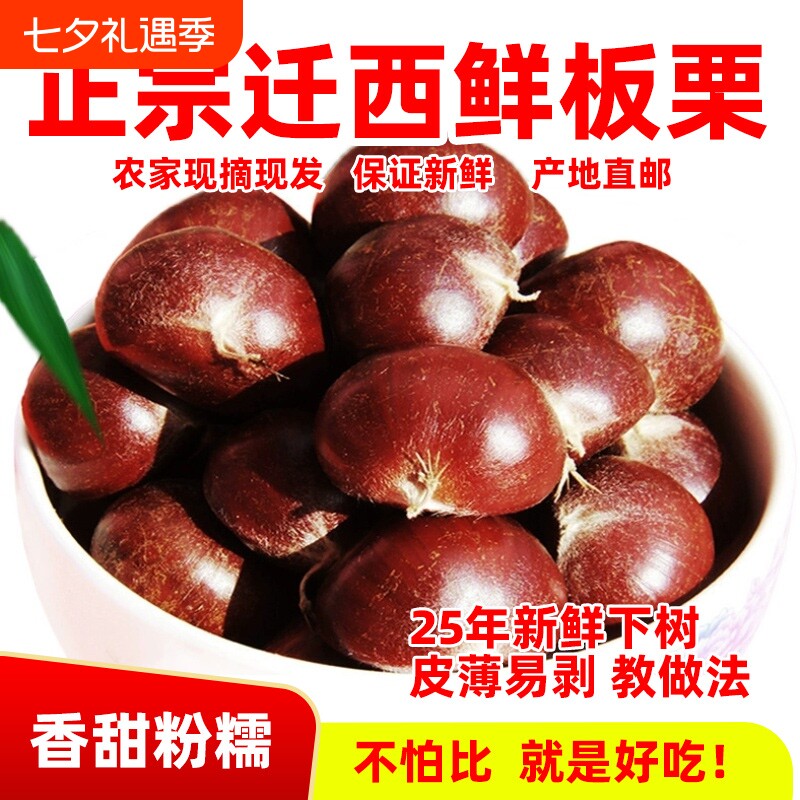 2025年正宗河北唐山迁西板栗生新鲜栗子3113燕山油栗子产