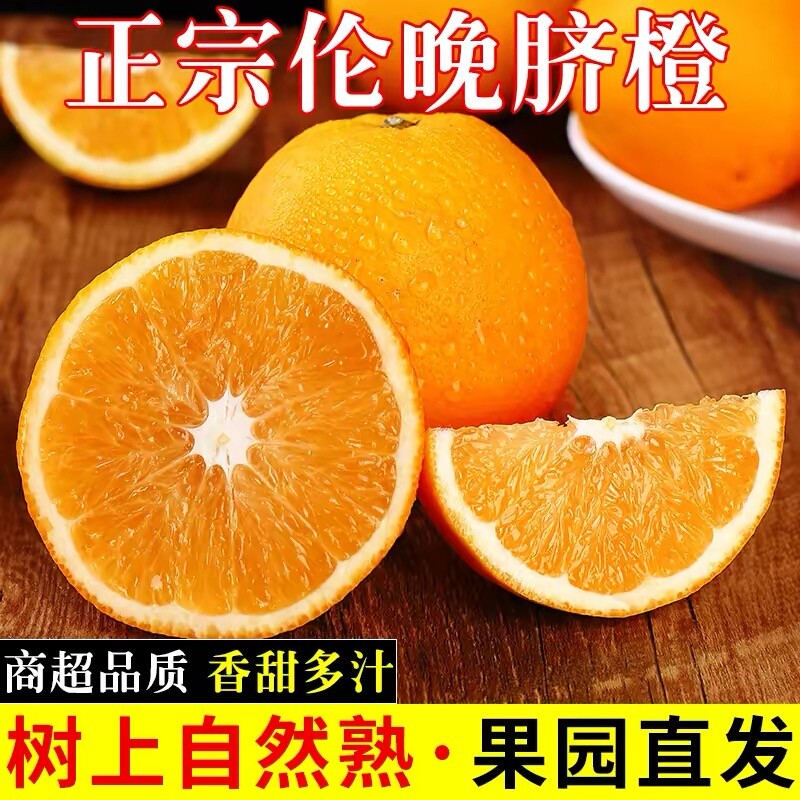橙子伦晚脐橙湖北秭归新鲜10斤大果甜春橙榨汁手剥橙整箱当季水果