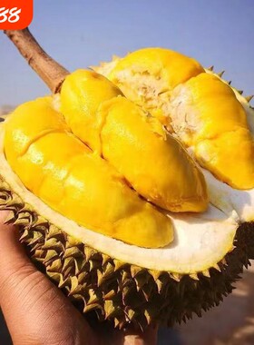 A＋级泰国金枕榴莲新鲜树熟猫山带壳一整个装浓郁顺丰包邮鲜果