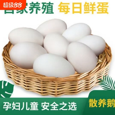 新鲜鹅蛋农家散养孕妇宝宝土鹅蛋新鲜批发大鹅蛋现捡现发现货速发