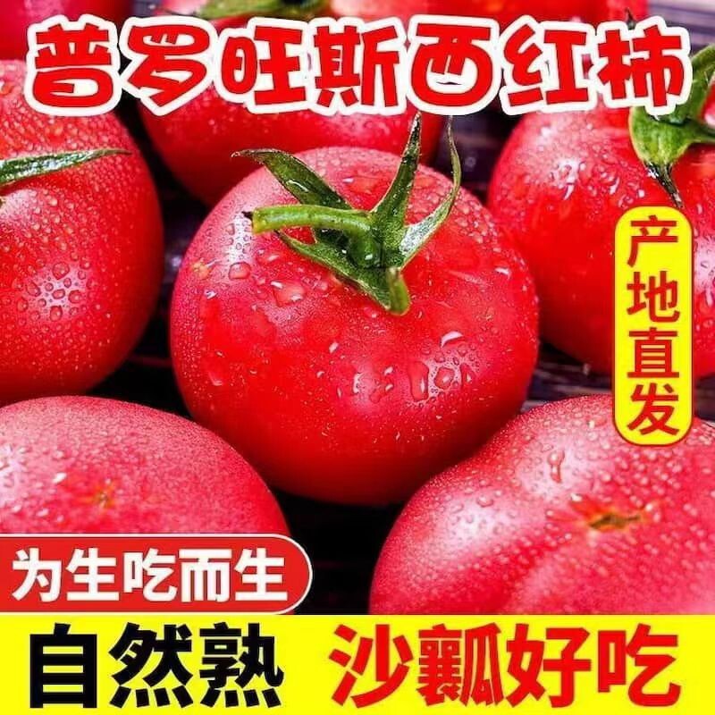 陕西泾阳西红柿沙瓤普罗旺斯新鲜生吃番茄水果整箱蔬菜自然熟爆汁