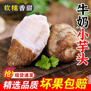 新鮮小芋頭毛芋頭高山山東香芋艿粉糯現(xiàn)挖現(xiàn)發(fā)特產(chǎn)軟糯好吃