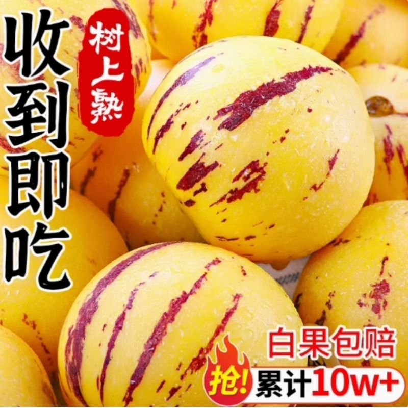 云南人参果9斤新鲜水果石大人心果娃娃果黄肉人生叁果林整箱包邮