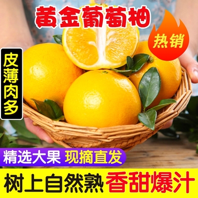 黄金葡萄柚整箱爆汁新鲜柚子包邮