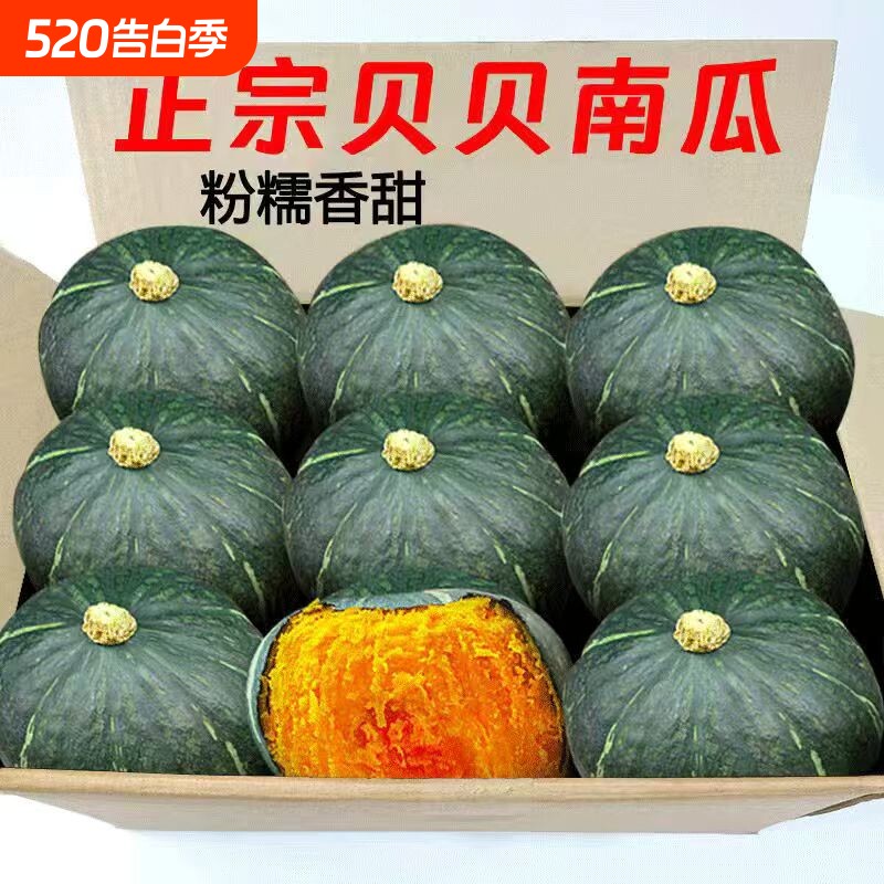 贝贝南瓜正宗板栗味当季小南瓜婴儿农家新鲜粉糯老瓜包邮早餐辅食