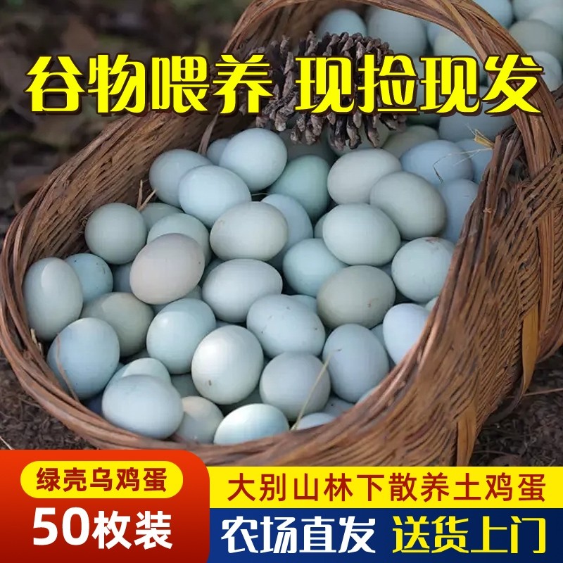 乌鸡蛋正宗农家散养50枚大别山跑山鸡虫草谷物蛋绿壳土鸡蛋新鲜