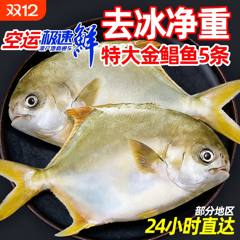 新鲜鲳鱼5斤5条速冻水产金昌