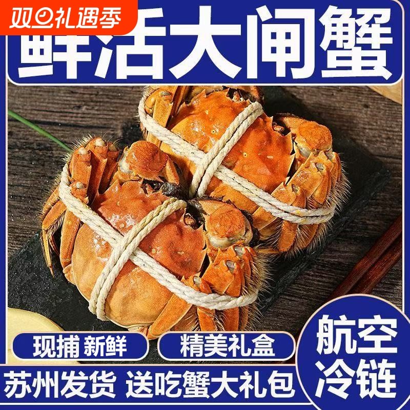 现货鲜活大闸蟹公母螃蟹生鲜海鲜水产礼盒装8只含绳工具苏州发货