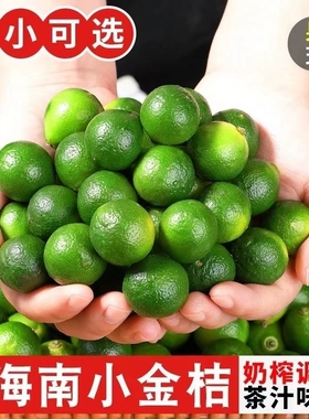 金桔柠檬小青桔海南小金桔青金桔柠檬汁橘子应季柠檬茶新鲜现摘