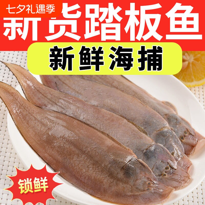 海捕龙利鱼小舌头鱼新鲜踏板鱼带皮冷冻海鱼海鲜生鲜商用批鱼片