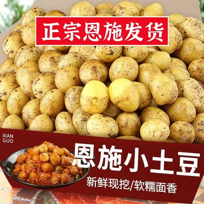 新鲜恩施小土豆现挖正宗新鲜黄心土豆当季蔬菜整箱迷你马铃薯洋芋