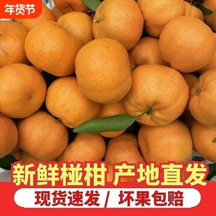 新鲜柑橘湘西碰柑芦柑孕妇水果果园大橘子整箱8分甜2分酸年货节