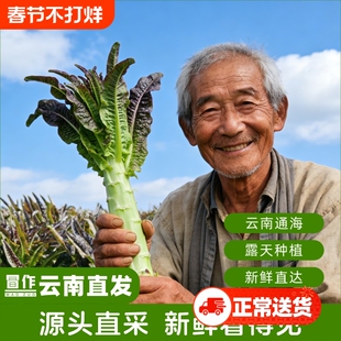 云南紫叶莴笋新鲜青皮绿肉香莴笋莴苣脆嫩高原露天农家自种蔬菜