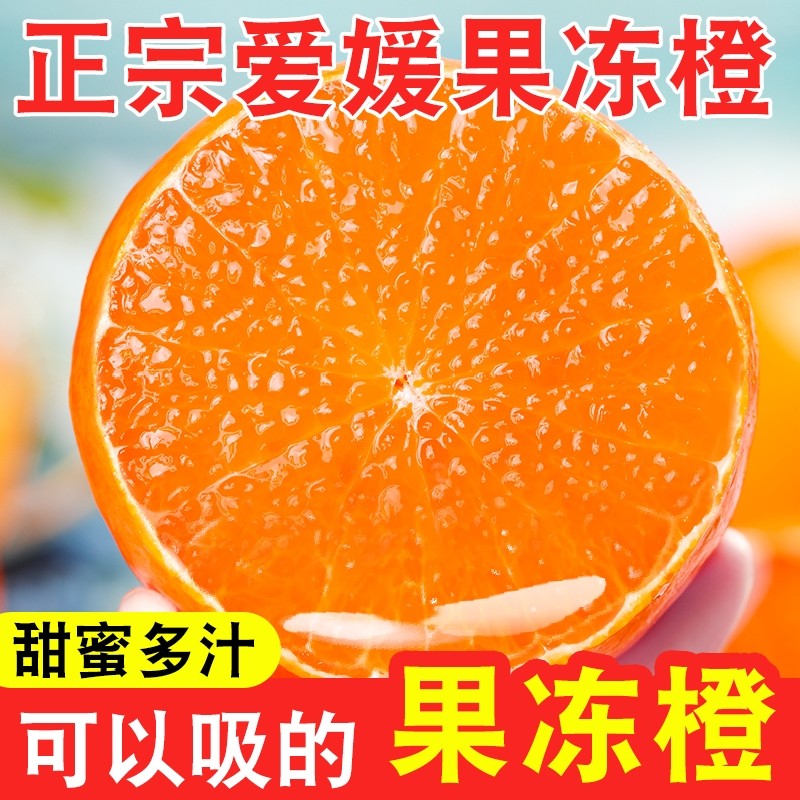爱媛果冻橙汁水充足当季新鲜水果皮薄肉厚细嫩四川发货,水产肉类/新鲜蔬果/熟食,橙,淘宝优惠券,粉丝福利购,淘宝优惠卷