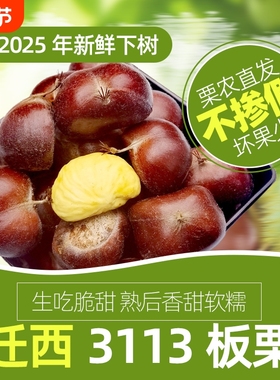 2025年现摘正宗迁西板栗野生油栗生新鲜栗子河北板栗毛栗3113老树