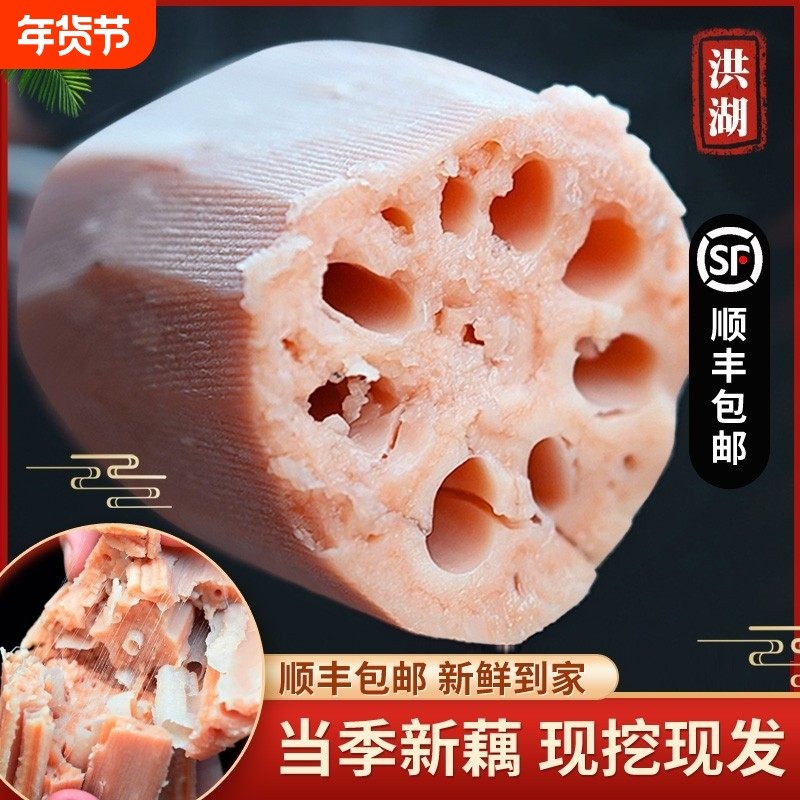 顺丰包邮洪湖特产莲藕新鲜现挖煲汤粉藕面藕红藕粉藕汤九孔藕当季,水产肉类/新鲜蔬果/熟食,莲藕,淘宝优惠券,粉丝福利购,淘宝优惠卷
