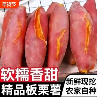 新鲜沙地红薯粉糯蜜薯现挖现发农家自种黄心地瓜板栗红薯西瓜红
