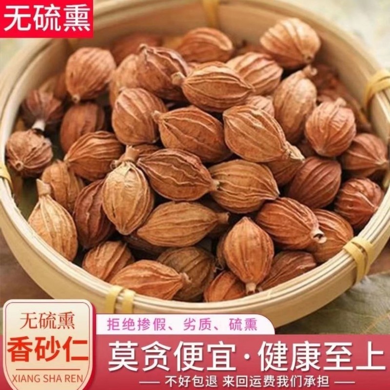 【新货无硫】精选正宗香砂仁川砂仁金砂仁烧菜卤料大料炖肉去腥,粮油调味/速食/干货/烘焙,香辛料/干调类,淘宝优惠券,粉丝福利购,淘宝优惠卷