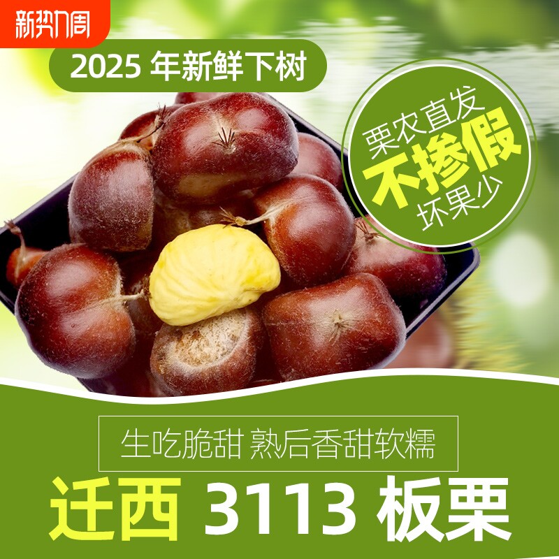 2025年现摘正宗迁西板栗野生油栗生新鲜栗子河北板栗毛栗3113