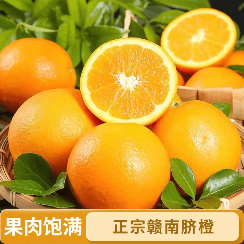 正宗赣南脐橙江西赣州脐橙新鲜橙子大果农场直发孕妇手剥橙果园