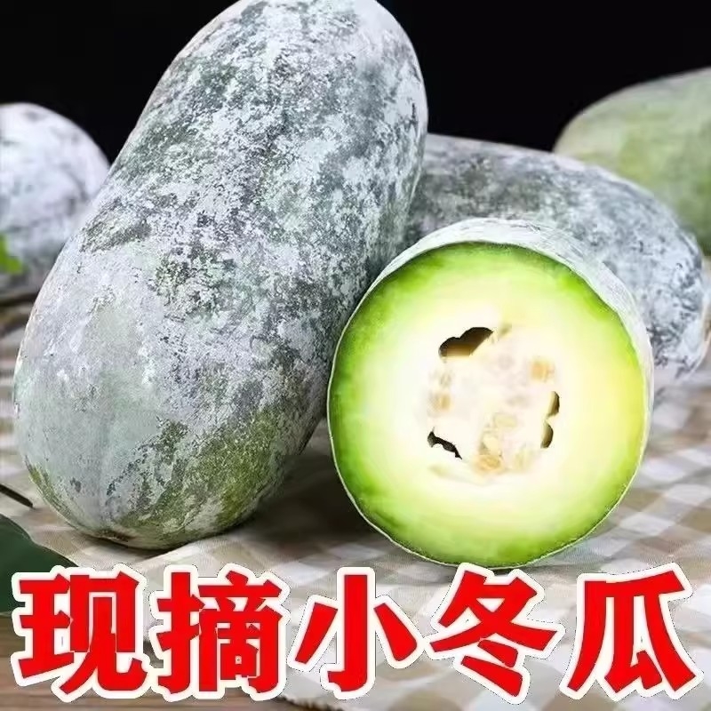 新鲜现摘当季水果脆嫩多汁小冬瓜水果冬瓜农家自种蔬菜包邮5斤