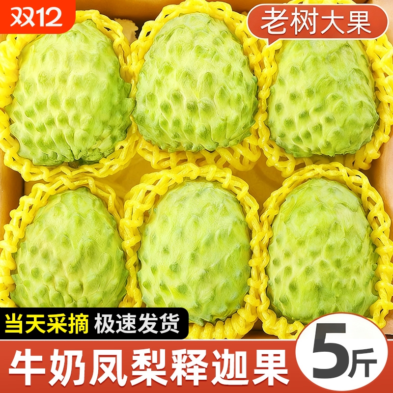 释迦果新鲜采摘老树特大果