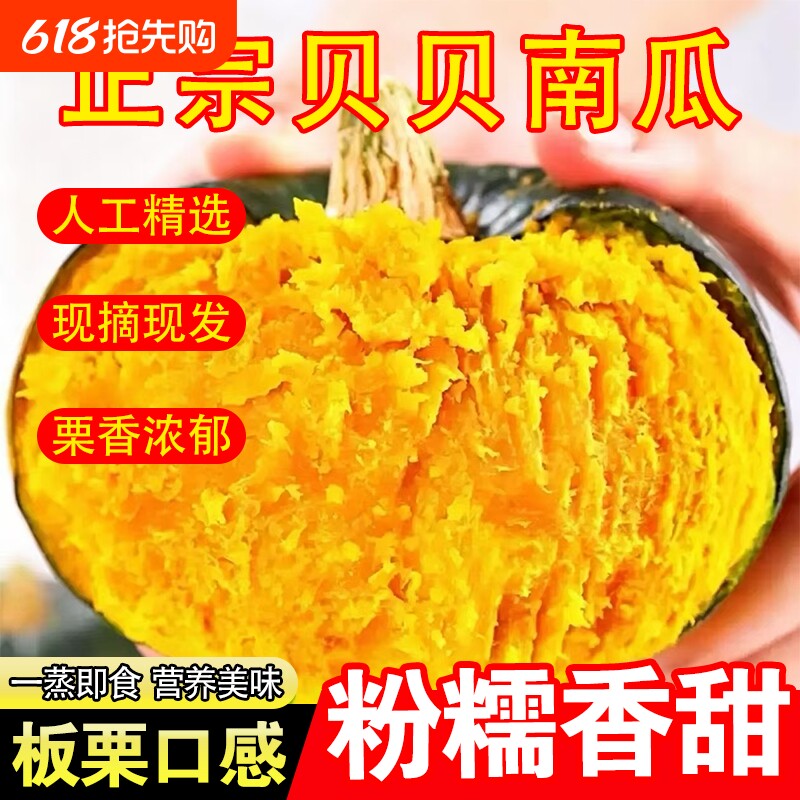 贝贝南瓜甜糯粉糯正宗板栗味小南瓜新鲜蔬菜儿童孕妇辅食香甜整箱